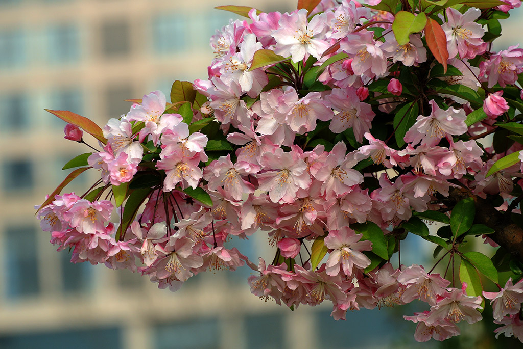DSC_0471副本.jpg