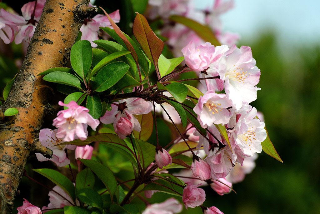 DSC_0473副本.jpg