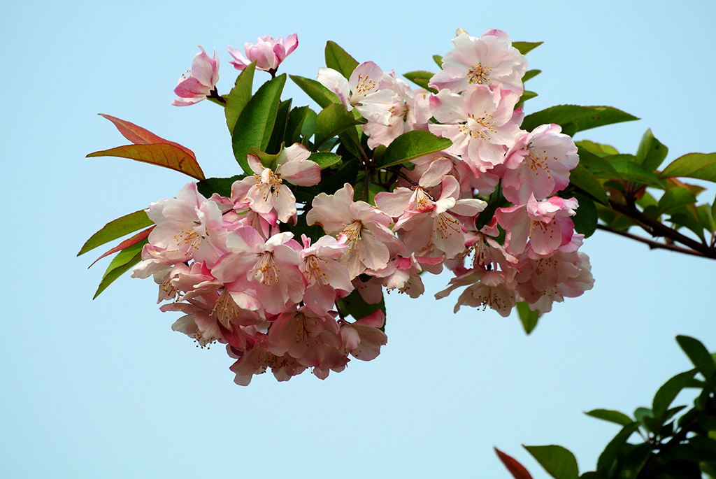 DSC_0474副本.jpg