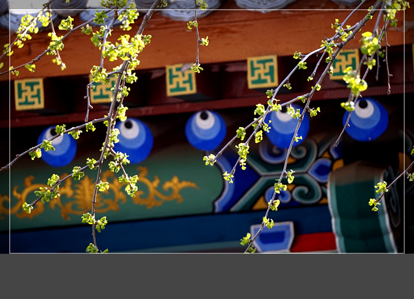 DSC03140_副本.jpg