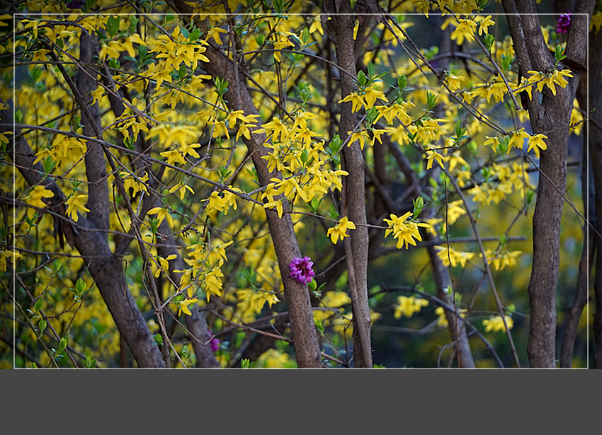 DSC02923_副本.jpg