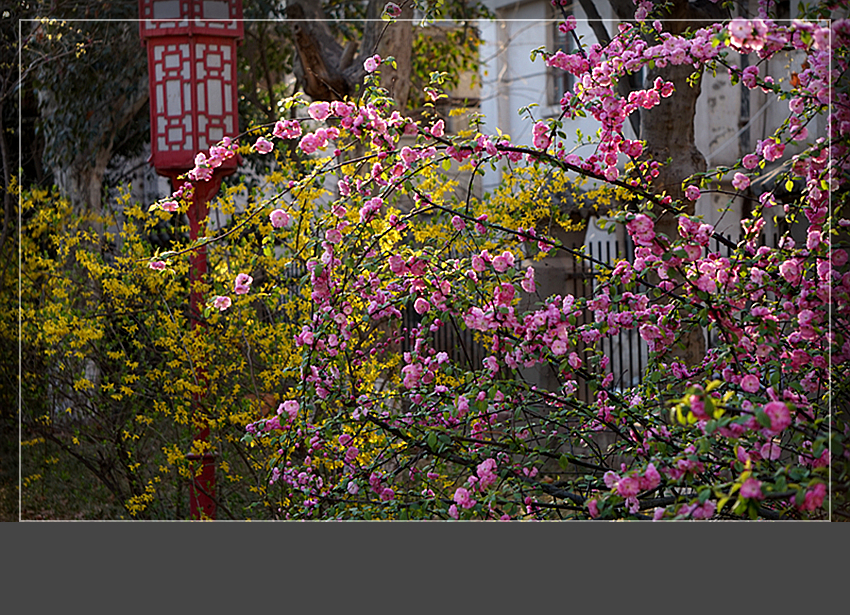 DSC02932_副本.jpg