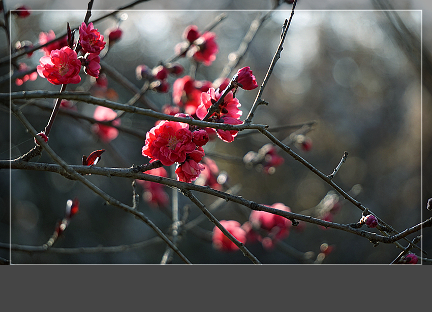 DSC02985_副本.jpg