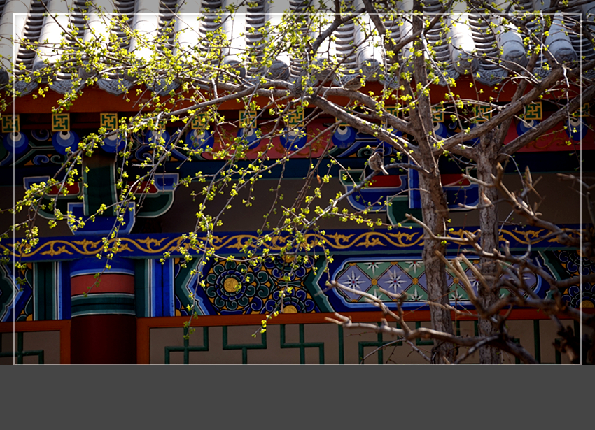 DSC03137_副本.jpg
