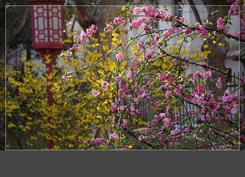 DSC02934_副本.jpg
