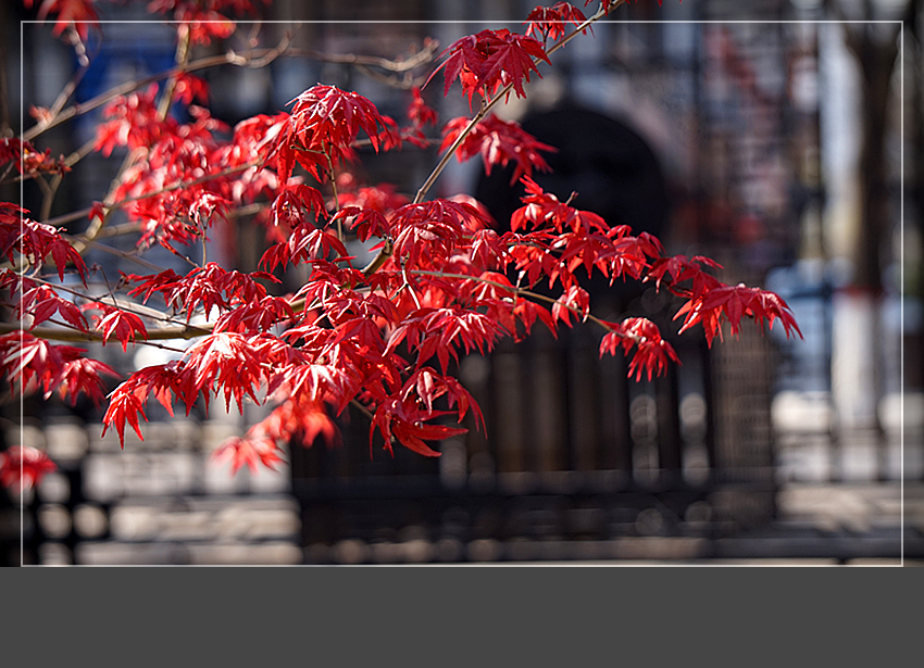 DSC03087_副本.jpg