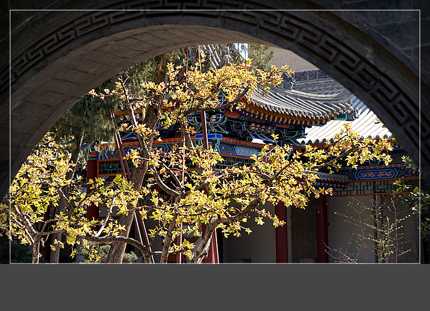 DSC03136_副本.jpg