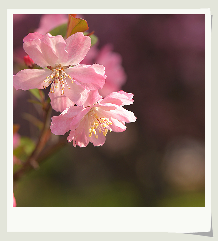 DSC_3014_副本.jpg