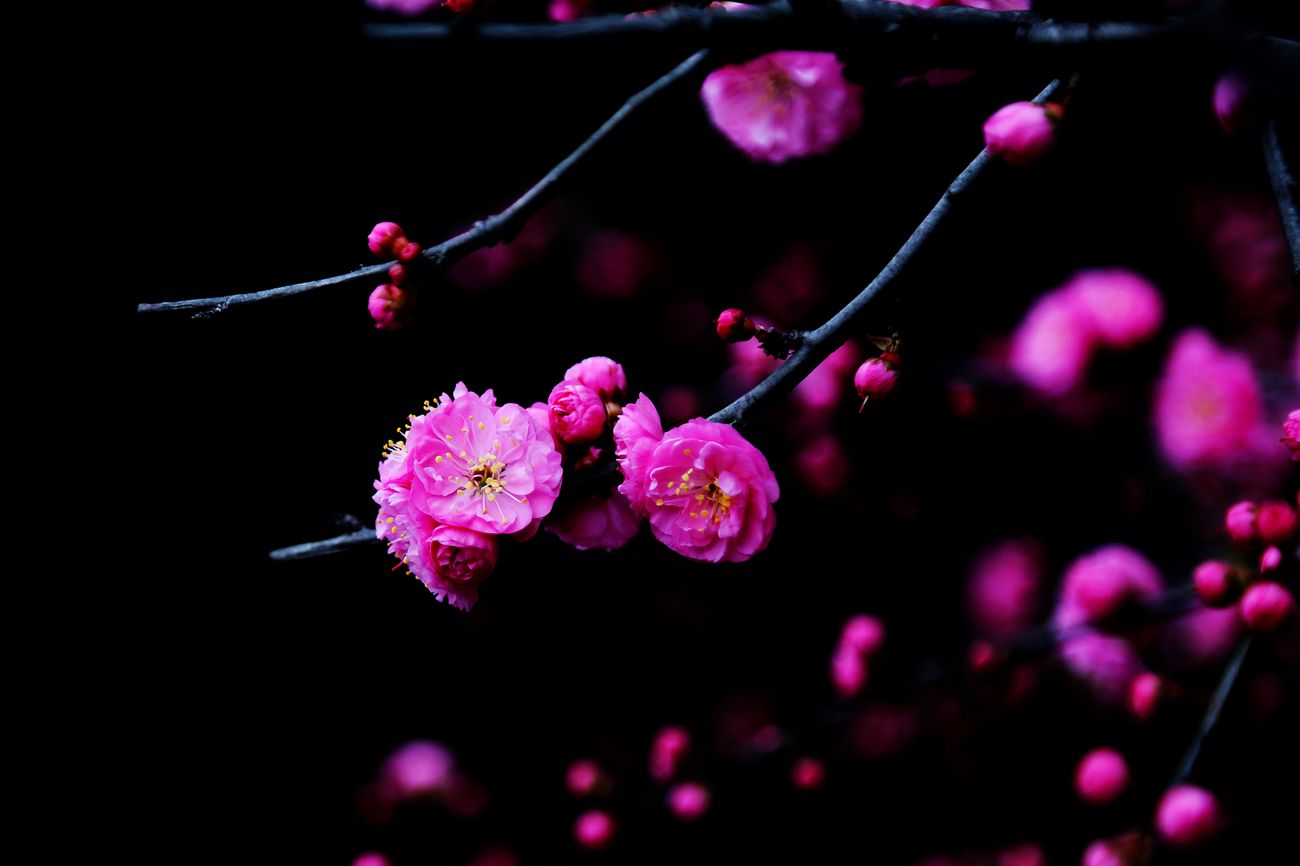 IMG_2929_副本_副本.jpg