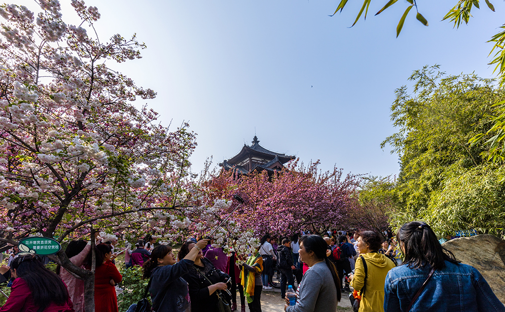 LIU_0581副本2.jpg