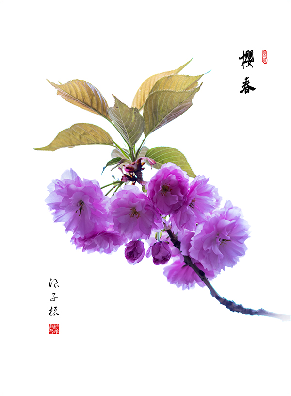 LIU_0508副本2.jpg