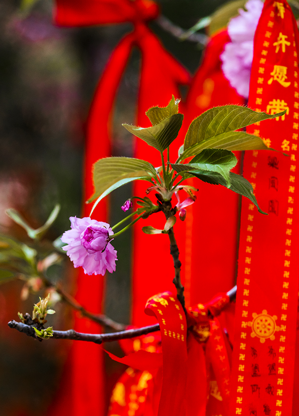 LIU_0676副本2.jpg