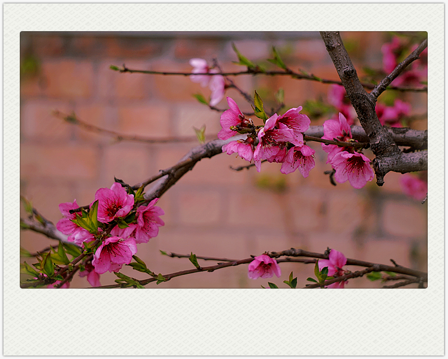 DSC00622_副本.jpg