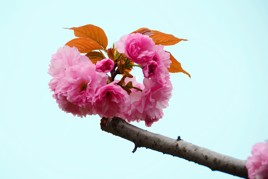 nEO_IMG_DSC_9057.jpg
