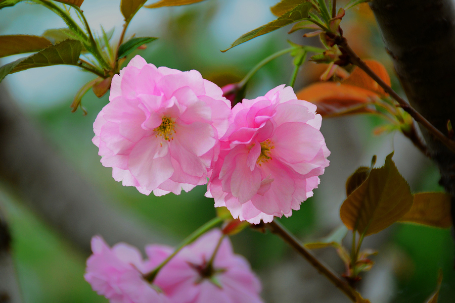 nEO_IMG_DSC_9127.jpg