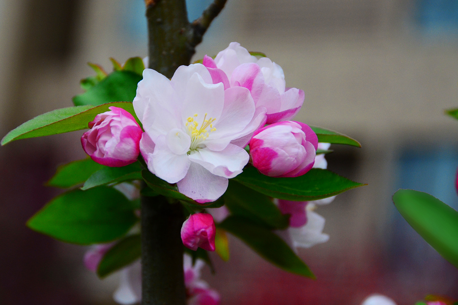 nEO_IMG_DSC_9123.jpg
