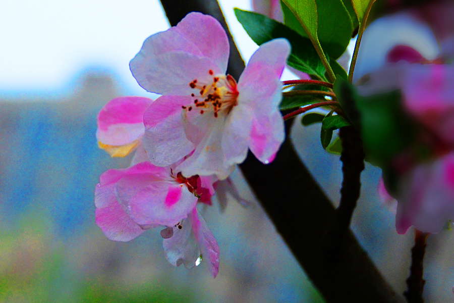 nEO_IMG_DSC_9192a.jpg