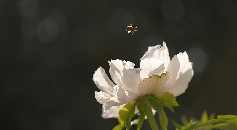 DSC_5051_副本.jpg