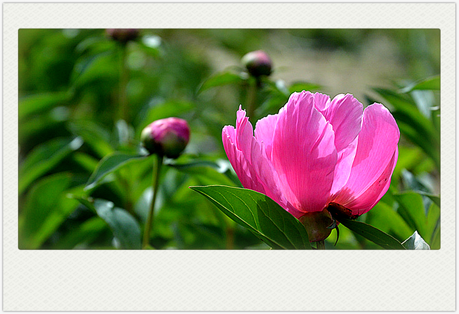 DSC_3202_副本_副本.jpg