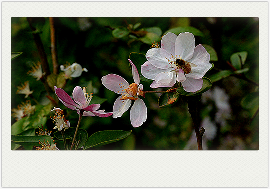 DSC_2782_副本_副本.jpg