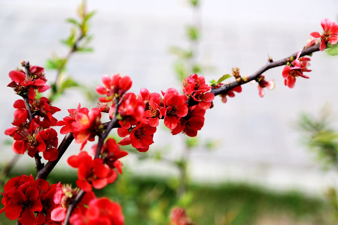 IMG_4128_副本.jpg