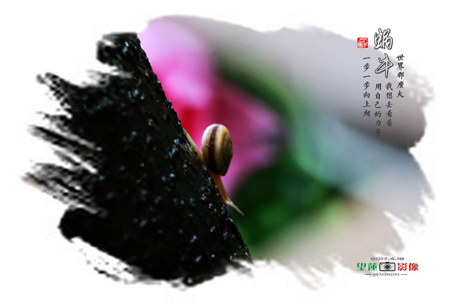 IMG_5946_副本.jpg