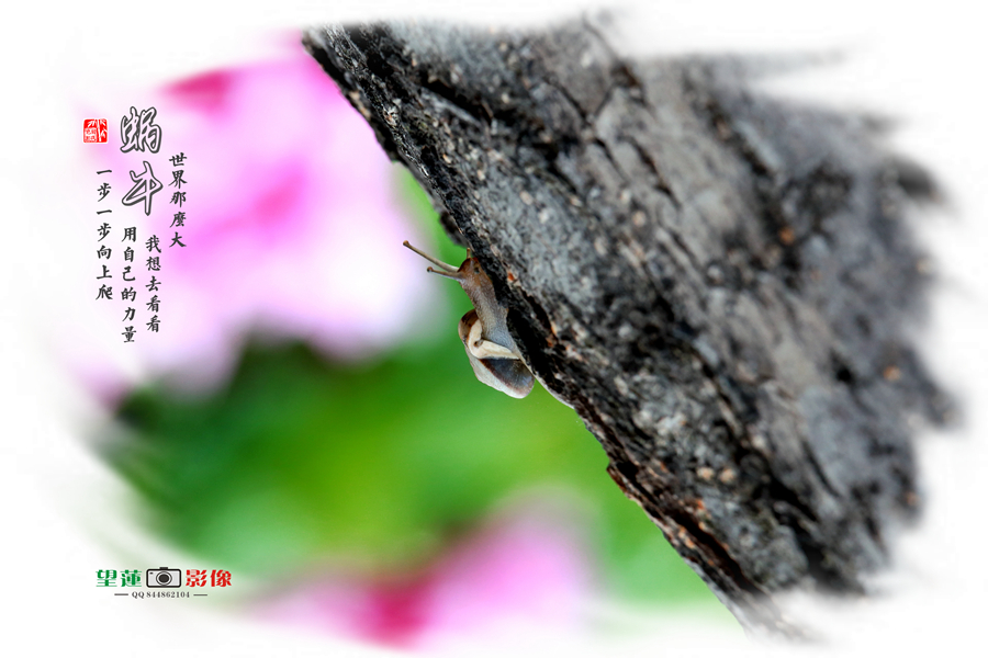 IMG_6021_副本.jpg