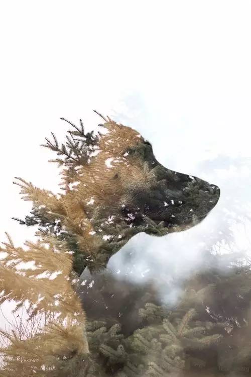 883f03de74043611a03e8909d71a618e.jpg
