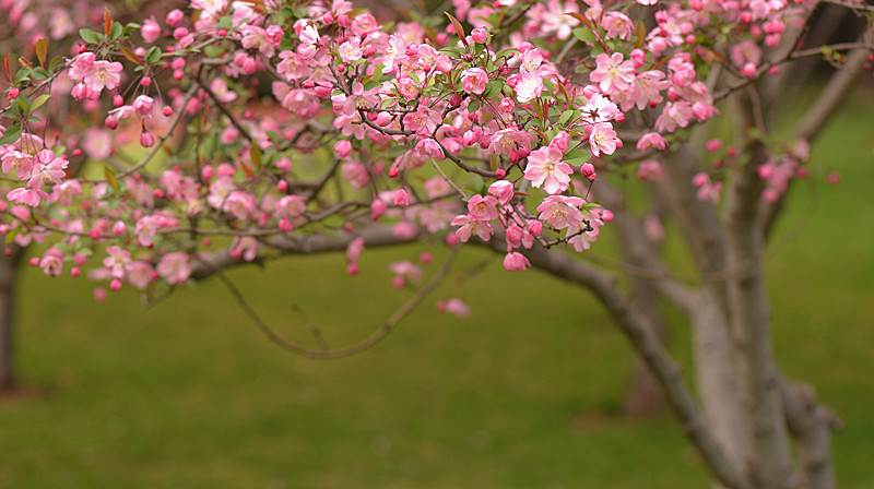 DSC_2661_副本.jpg