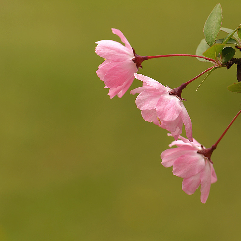 DSC_3241_副本.jpg