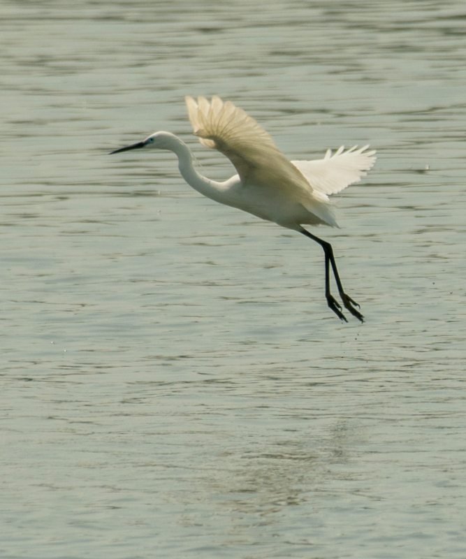 DSC_7525.jpg