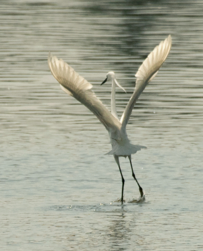 DSC_7589.jpg