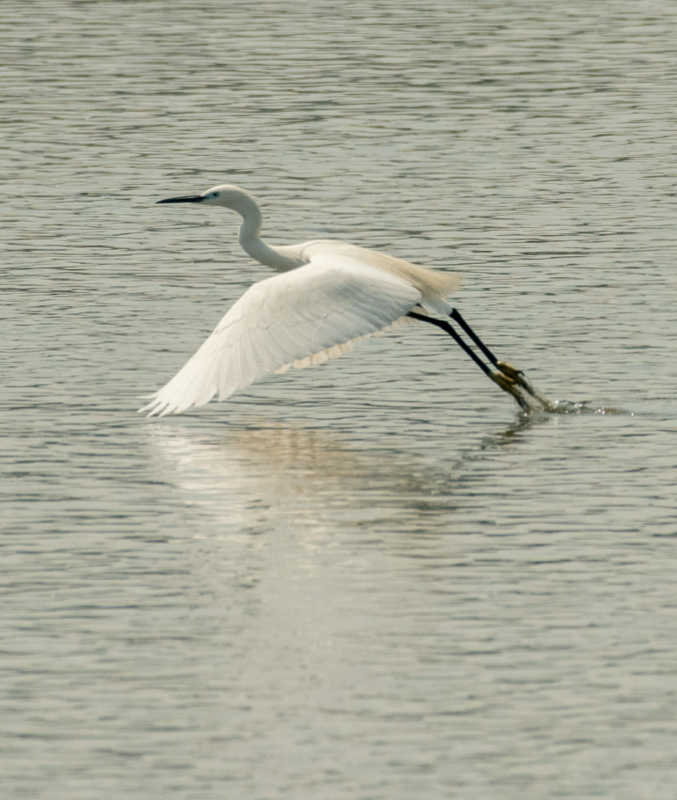DSC_7597.jpg