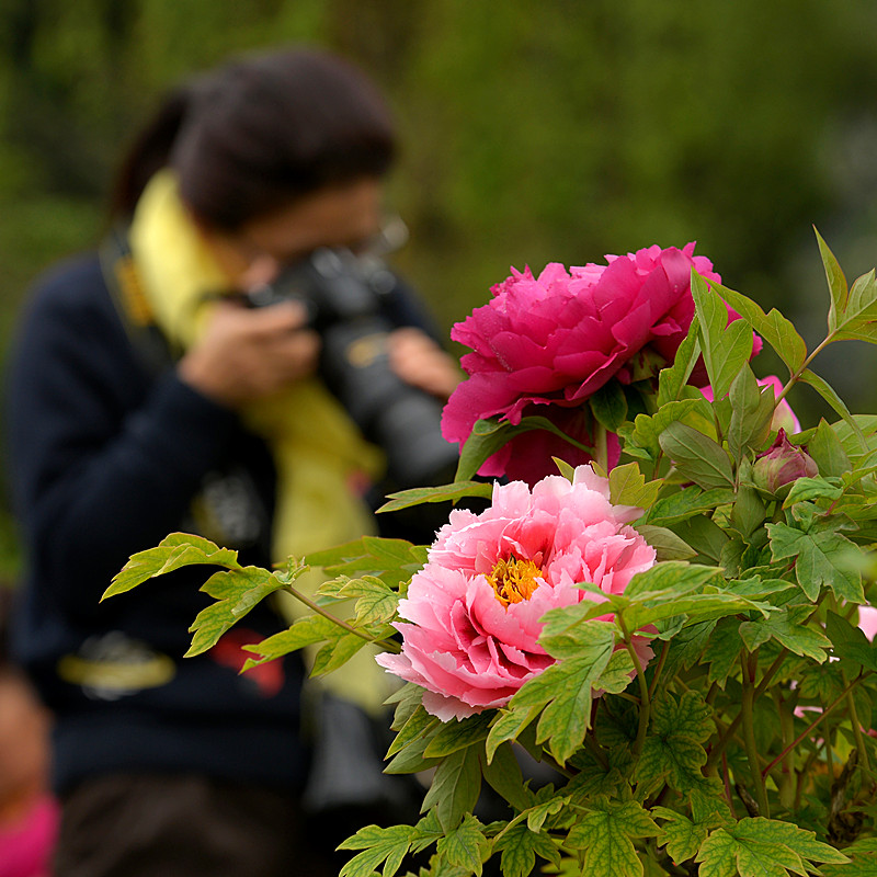 DSC_4588_副本.jpg