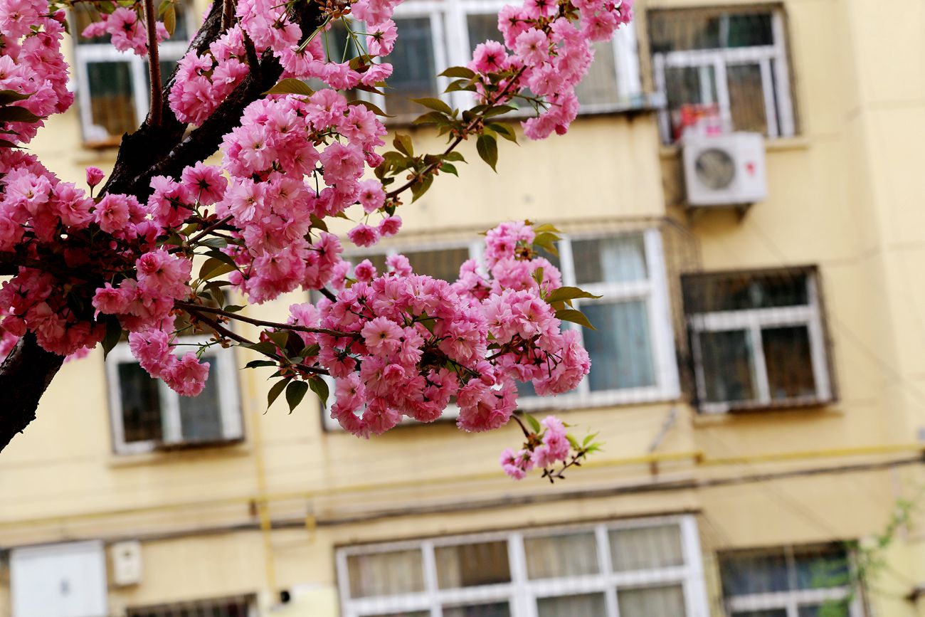 IMG_4847_副本.jpg