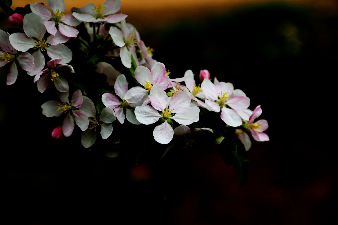 IMG_5229_副本.jpg