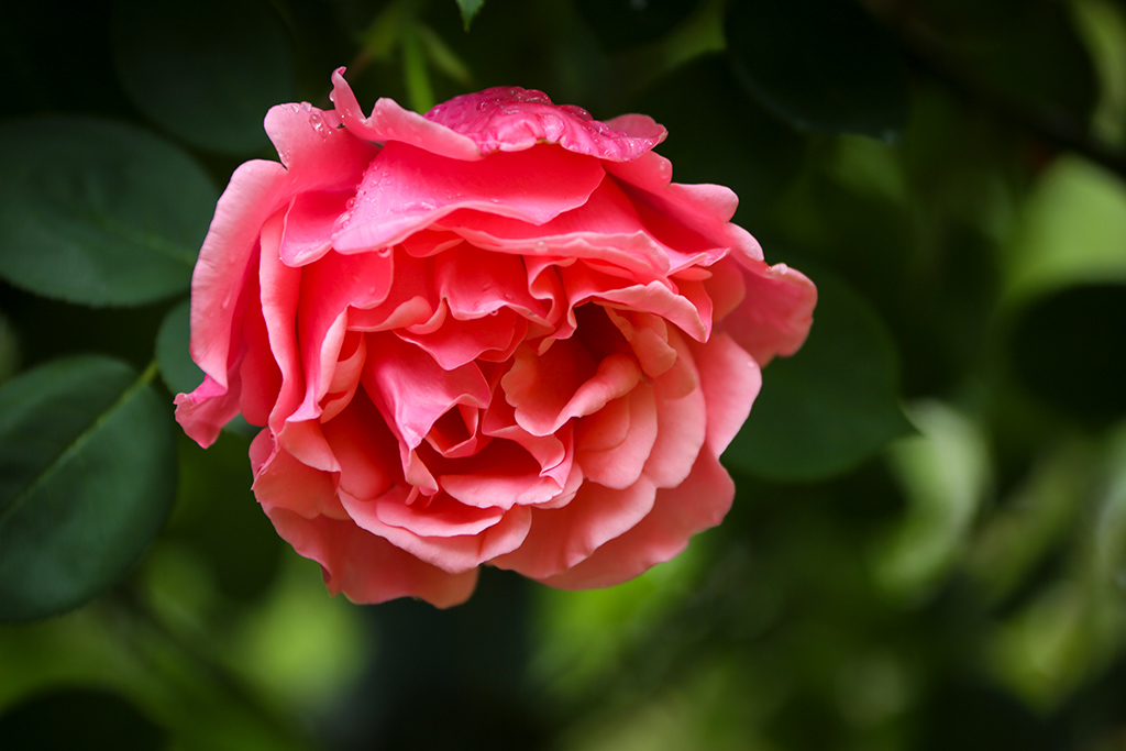 BQ5A2428副本-1.jpg