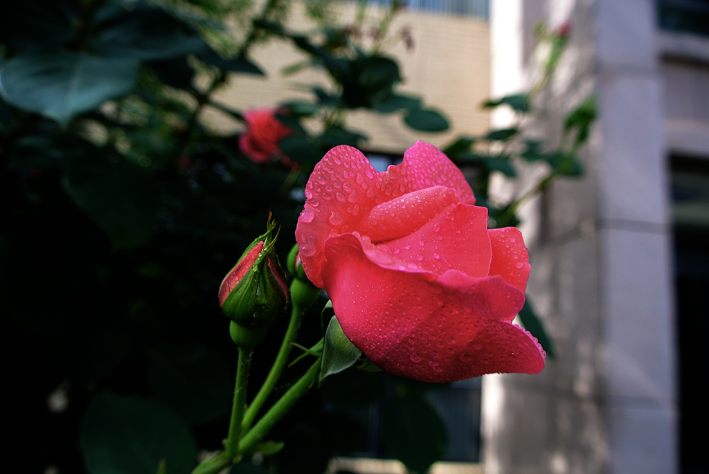 DSC_0719副本.jpg