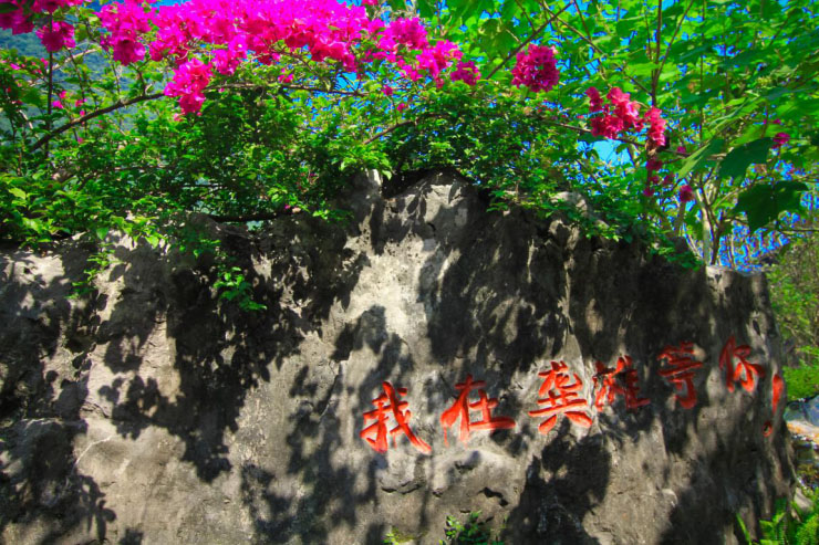 图片33.jpg