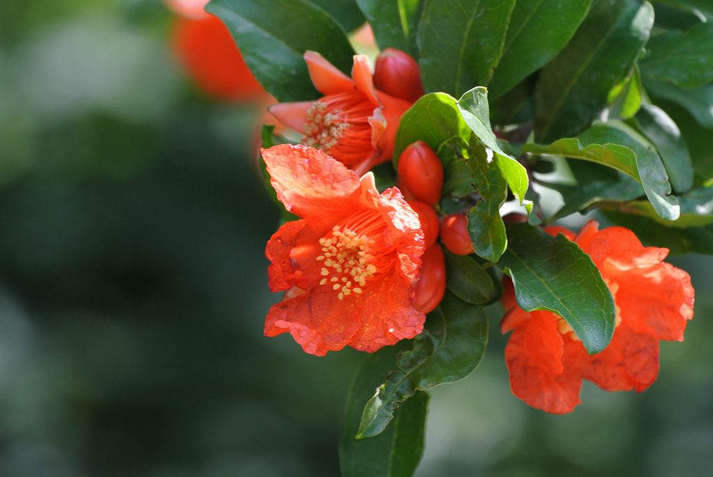 DSC_0811副本.jpg