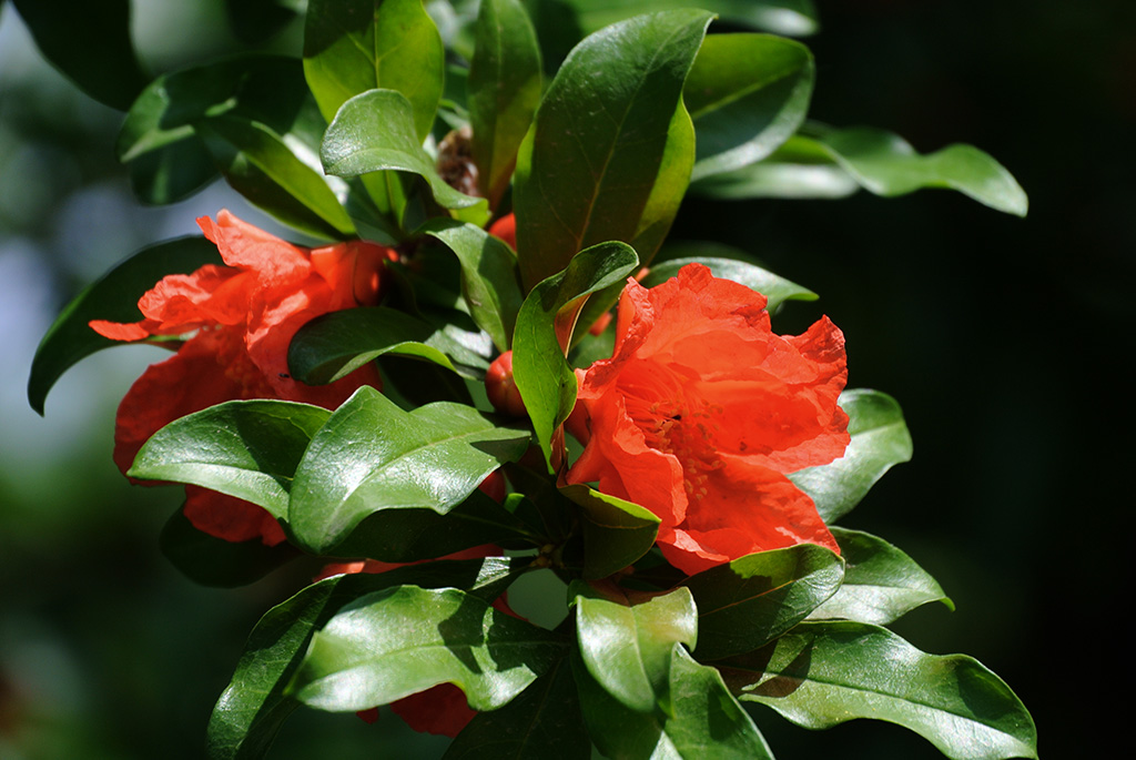 DSC_0812副本.jpg