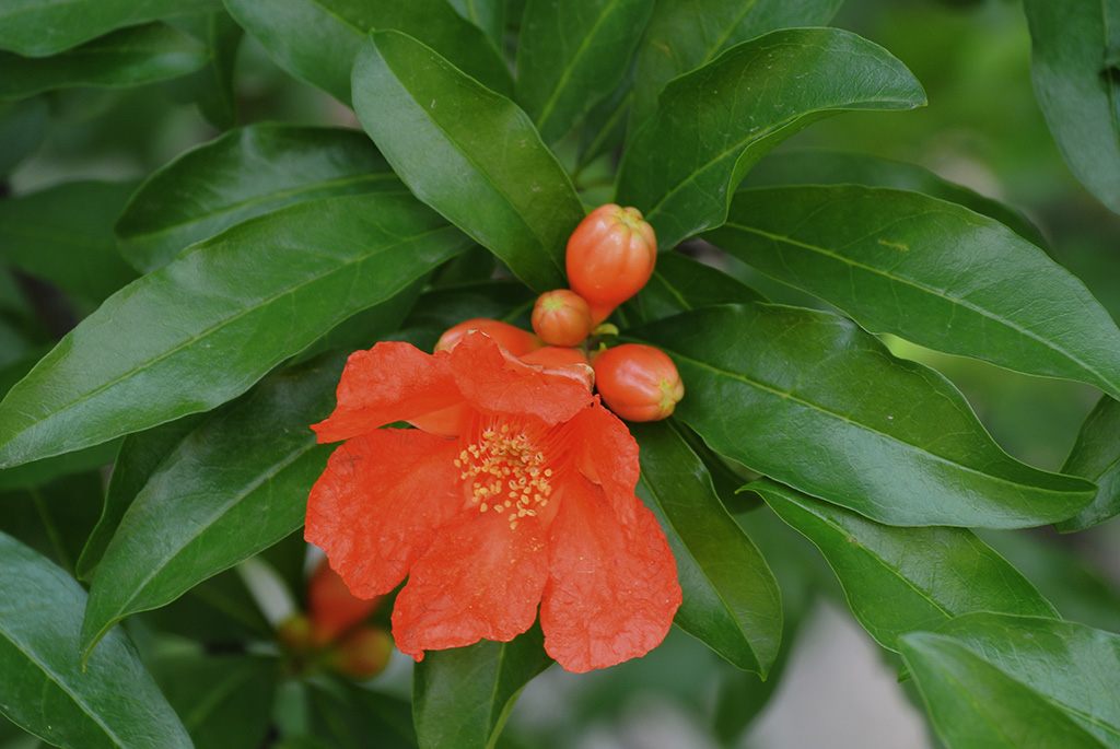 DSC_0814副本.jpg