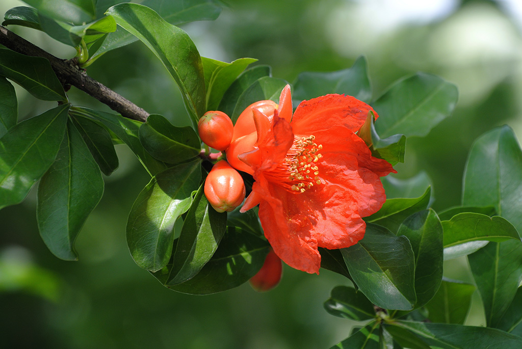 DSC_0815副本.jpg
