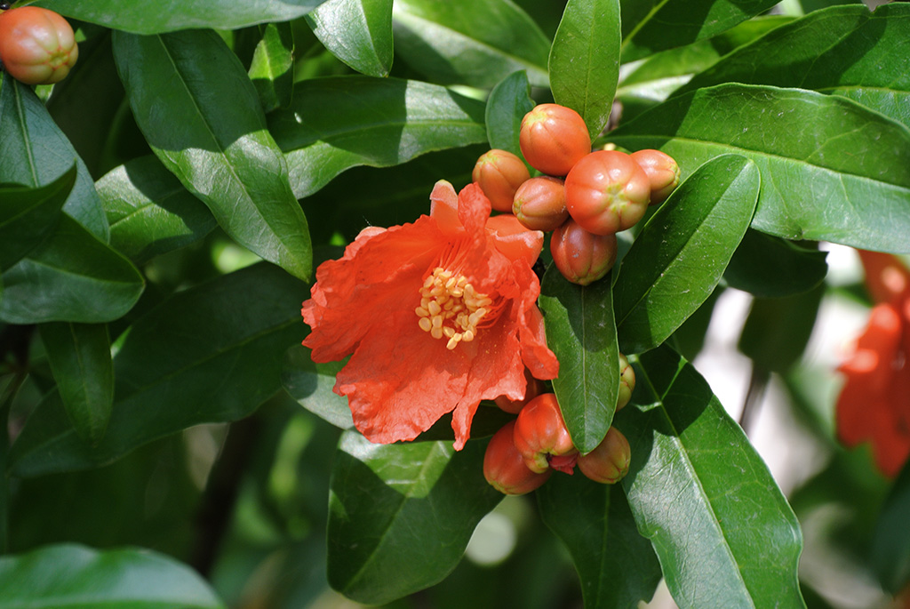 DSC_0820副本.jpg