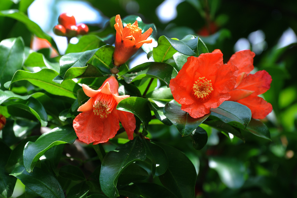 DSC_0829副本.jpg