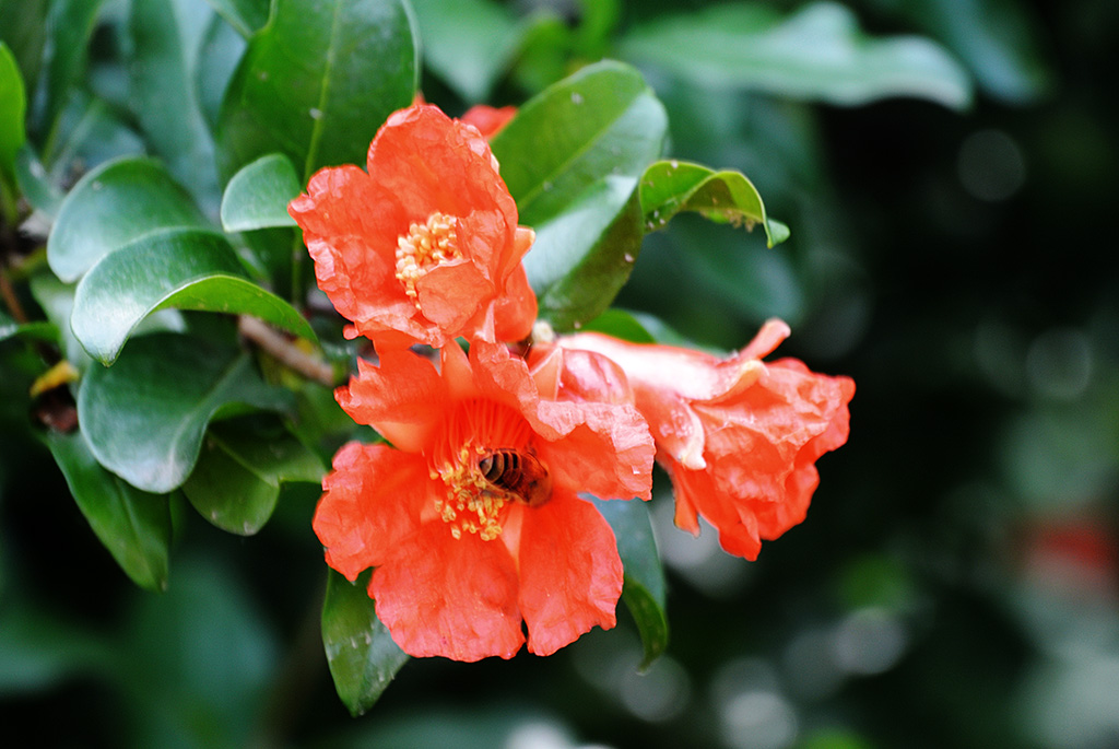 DSC_0832副本.jpg