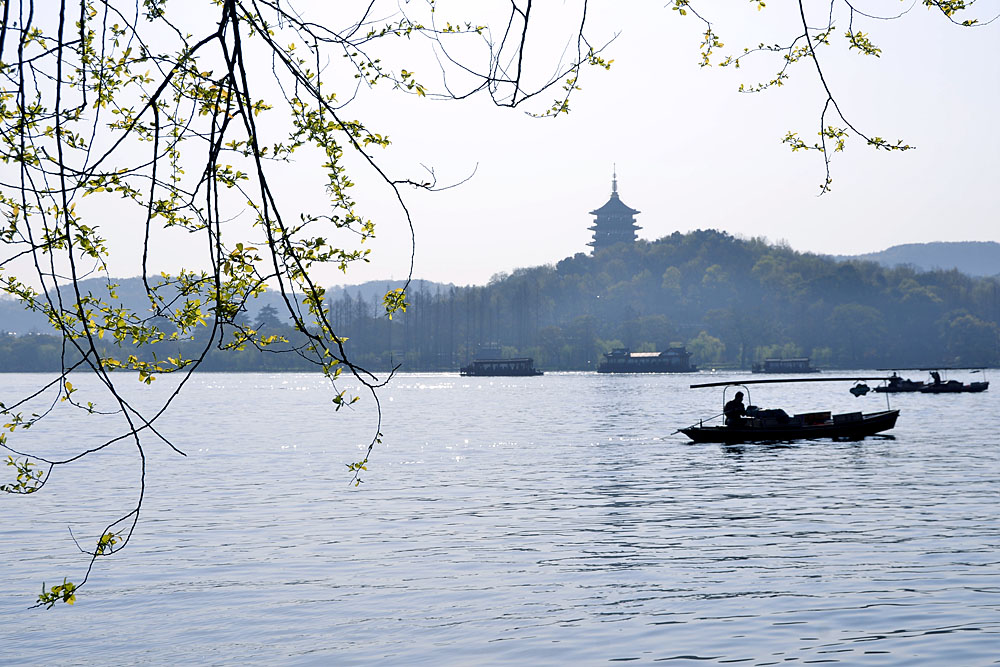 游西湖 (6).jpg