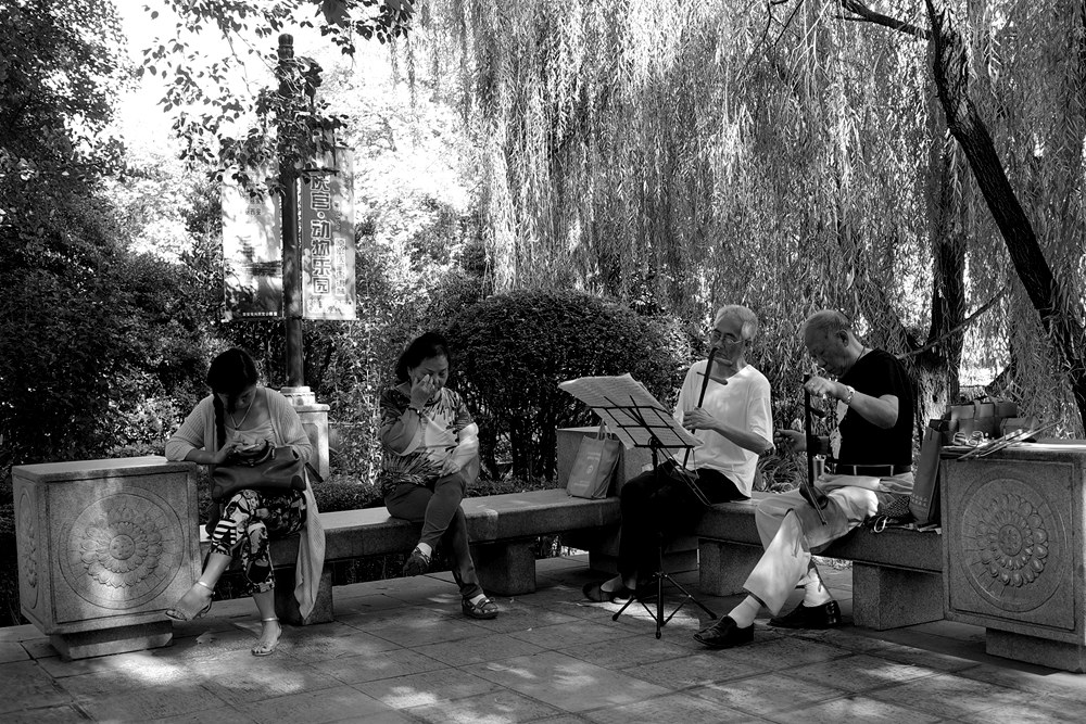 L1049648.jpg