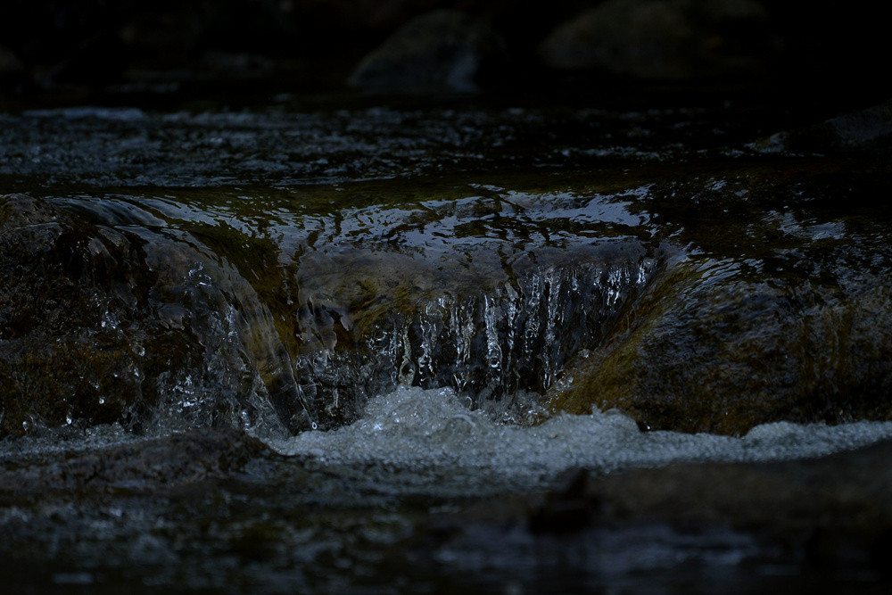 D4A_6712.jpg