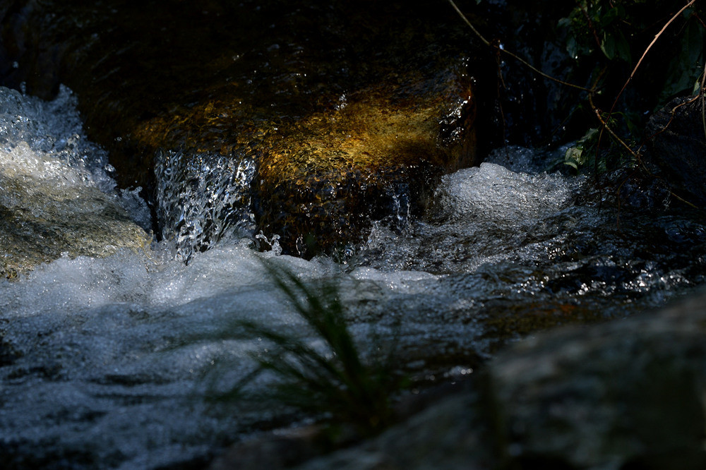 D4A_6711.jpg